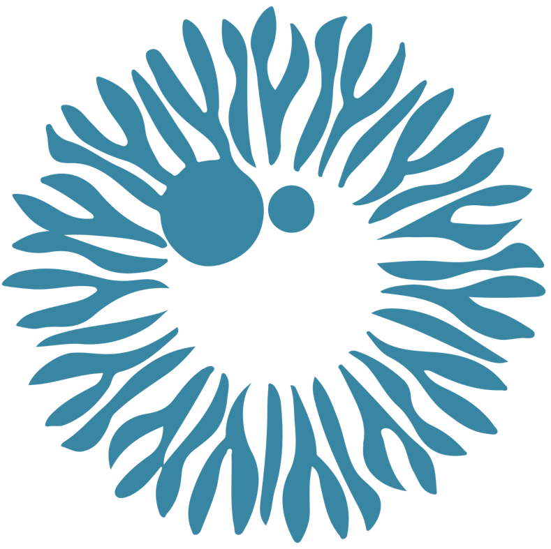 logo berbinar